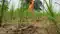 Bihar Monsoon Crisis 