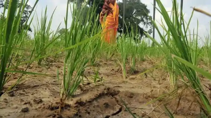 Bihar Monsoon Crisis 