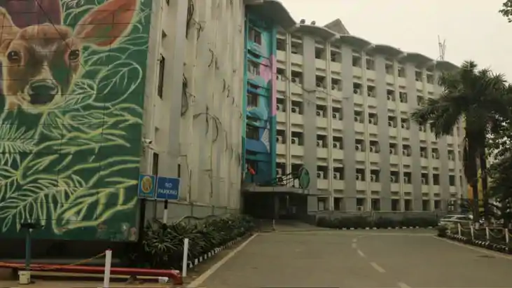 सावधान! बिजली के तारों के नीचे न जलाएं होलिका; बिहार ऊर्जा व