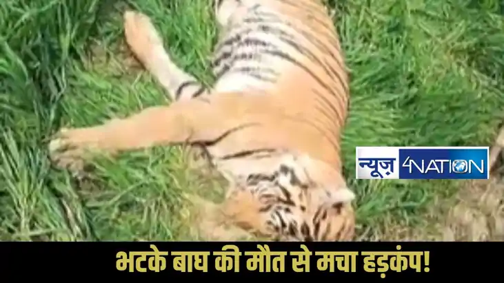 Valmiki Tiger Reserve