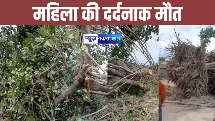 गोपालगंज में बरगद का पेड़ गिरने से महिला की दर्दनाक मौत, दो 