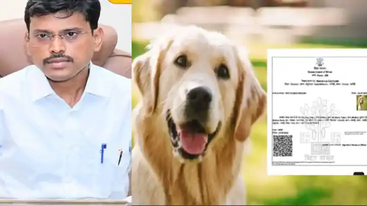 Dog Residence Certificate - 'डॉग बाबू' के नाम से बना निवास प Dog Residence Certificate - 'डॉग बाबू' के नाम से बना निवास प