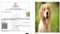 Dog Residence Certificate