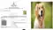 Dog Residence Certificate