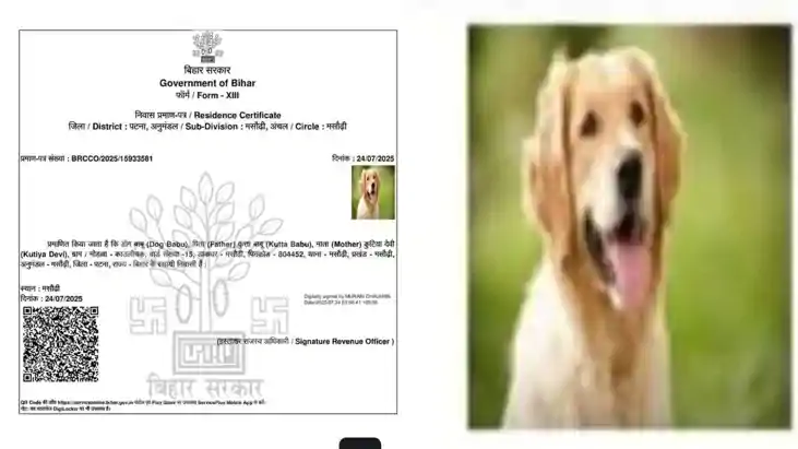 Dog Residence Certificate Dog Residence Certificate