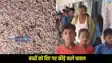 Muzaffarpur mid day meal