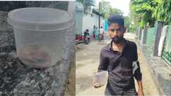 Snakebite in Motihari