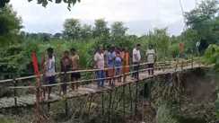 Crocodile Attacks Force Villagers to Build Bamboo Bridge in Bagaha