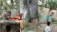 Bihar News : सारण के रिविलगंज थाना परिसर में शॉर्ट सर्किट से अचानक लगी आग, जब्त की गयी कई गाड़ियां जलकर हुई  राख 