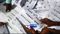  special intensive revision of voter list