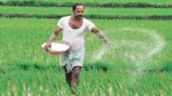 Sowing Hit by Hormuz Crisis Urea Supply Fears Rise in India