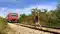 Railway news - रेलवे स्टेशन और ट्रेनों में यू-ट्यूबर्स और रील्स बनाने पर लगी रोक, इस वजह से लिया गया फैसला