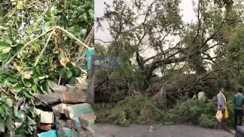 Storms in North Bihar Kill 8 Damage Crops Power Supply