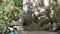 Storms in North Bihar Kill 8 Damage Crops Power Supply