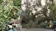 Storms in North Bihar Kill 8 Damage Crops Power Supply