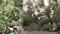 Storms in North Bihar Kill 8 Damage Crops Power Supply