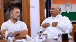 राहुल गांधी 