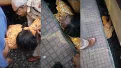 Bihar News : डेहरी ऑन सोन स्टेशन पर चलती ट्रेन में चढ़ने के दौरान गिरी महिला, रेल पुलिस की तत्परता से बची जान