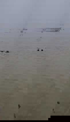 पटना  में बड़ा  हादसा, गंगा  नदी  में डूबने से की मौत , इलाके  में कोहराम