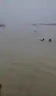 पटना  में बड़ा  हादसा, गंगा  नदी  में डूबने से की मौत , इलाके  में कोहराम पटना  में बड़ा  हादसा, गंगा  नदी  में डूबने से की मौत , इलाके  में कोहराम