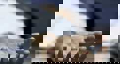 लोकाइन नदी में 6 बच्चे डूबे , 3 का शव बरामद , 2 को ग्रामीणों ने बचाया