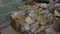 Vaishali Police Seize Firecrackers