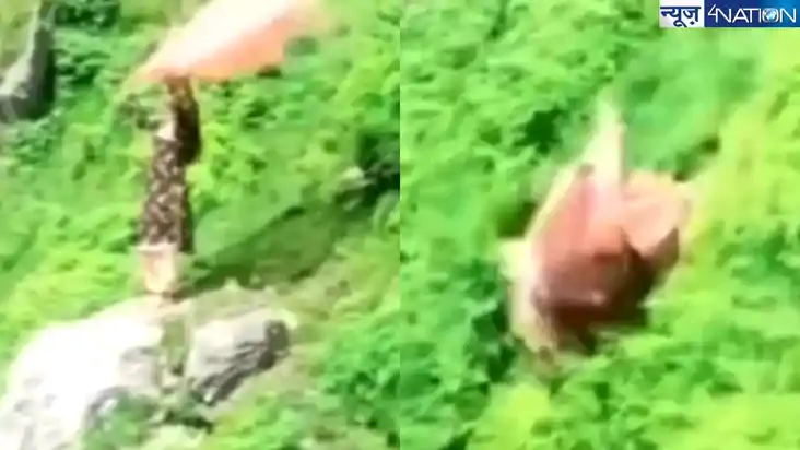 Viral Video: लड़की को पहाड़ों पर रील बनाने का चस्का पड़ा भार