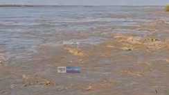 Bihar Flood 
