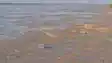 Bihar Flood 
