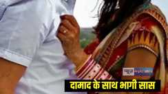 सास दामाद