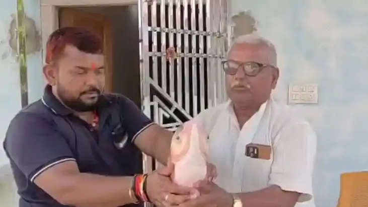 मोतिहारी में कुदरत का करिश्मा: तालाब में मिली रहस्यमयी चार आ