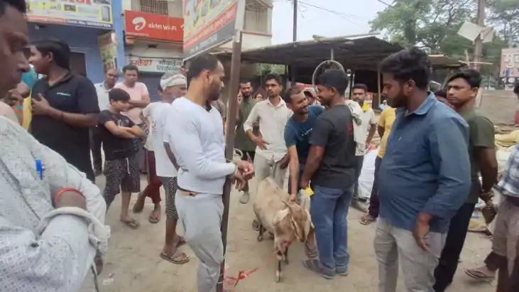 मुजफ्फरपुर में मॉब लिंचिंग की कोशिश: बकरी चोरी के आरोप में य