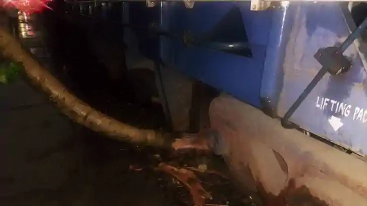 बिहार में कुदरत का कहर: रघुनाथपुर स्टेशन के पास ट्रैक पर गिर