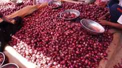 Onion Price