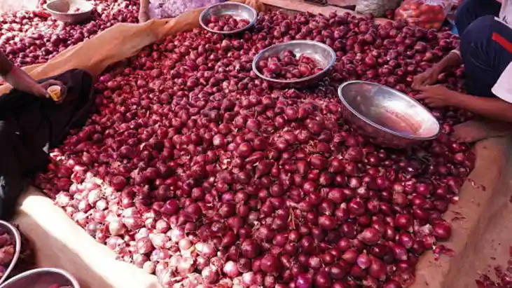 Onion Price