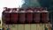 LPG Price Today