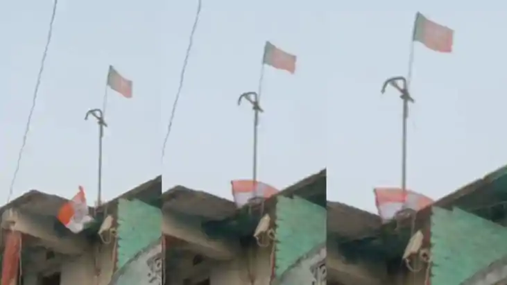 भाजपा का झंडा 