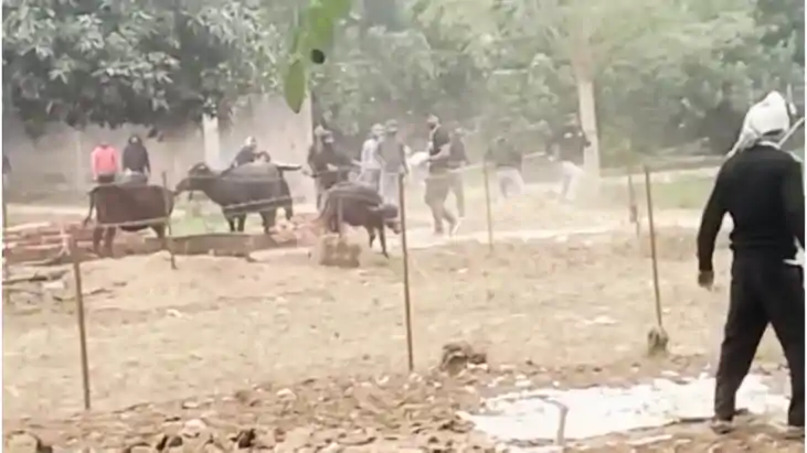 Bihar News : भोजपुर में आपसी विवाद में जमकर चले पत्थर और गोल