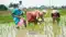 Nitish government plan