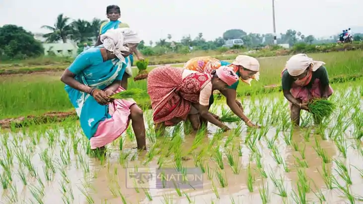 Nitish government plan