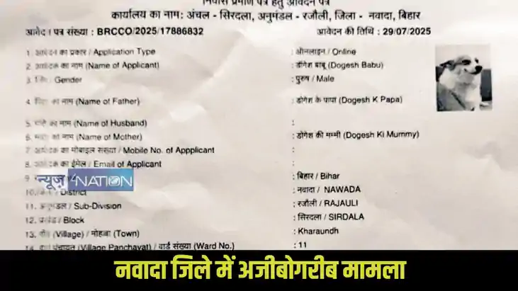 Nawada Fake Dog Certificate Nawada Fake Dog Certificate