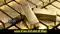 Gold Price