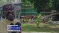  Patna Zoo Unveils Four New Tigers 