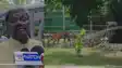  Patna Zoo Unveils Four New Tigers 