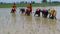 Bihar Monsoon Crisis