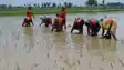 Bihar Monsoon Crisis