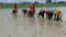 Bihar Monsoon Crisis
