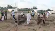 Bihar News : भरत तिवारी एनकाउंटर के बाद बिलौटी में फिर गरमाया माहौल, घर के बाहर मारपीट के बाद पुलिस जांच में जुटी