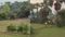Two Wild Elephants Enter Gaya Village Forest Team on Alert