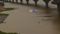 Three Women Drown During Ganga Bath Two Sisters Still Missing